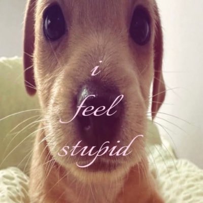 fredwooj's tweet photo. aku suka banget sama guguk pongo ini #NewProfilePic https://t.co/Tael21y9bW