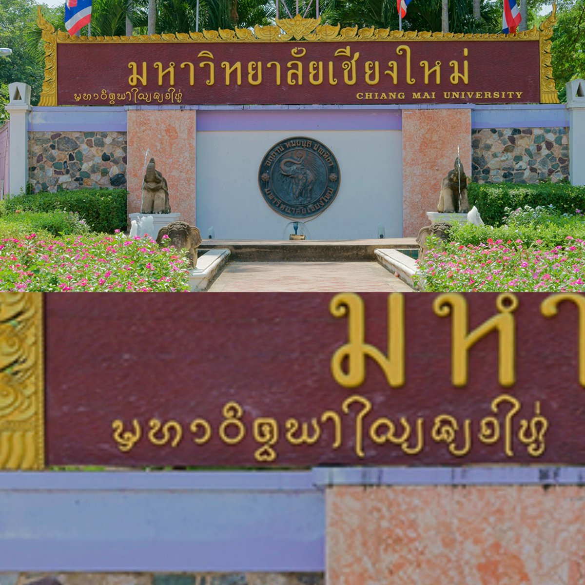 imnotbearbear's tweet photo. คนเหนือไม่รักษา identity 

also คนเหนือ : มีภาษาไทย ใช่ แต่กุแปะอักษรธรรมล้านนาไว้ด้วยค่ะ https://t.co/EjWnyrF1rP