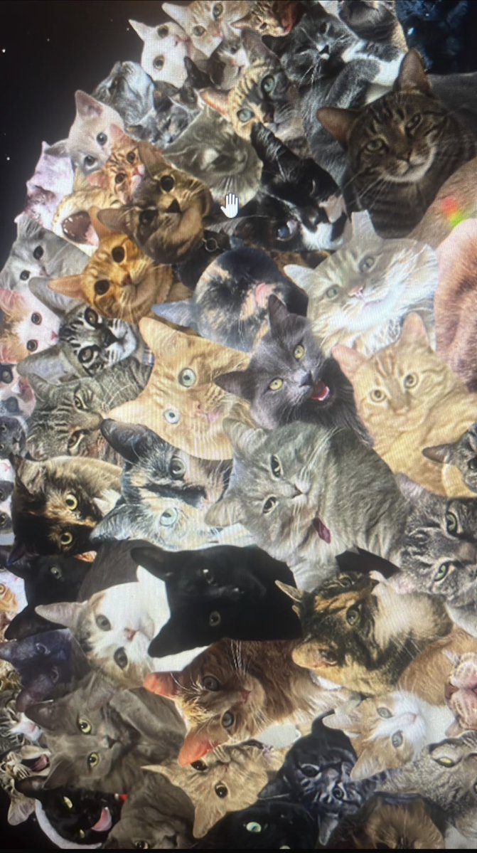 silvenadventure's tweet photo. I found her!! Where the mouse cursor is, upper left @AJamesMcCarthy 😍🥰

@babybeginner I saw Bruiser first lol https://t.co/k8bgmGkZMt