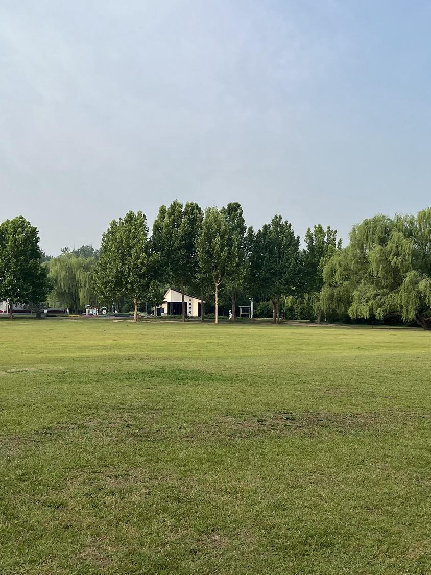 MargaretPakehm's tweet photo. Fiesta comunitaria este sábado en el parque central! Vamos a comer, jugar y conocer vecinos. Te esperamos! https://t.co/U1B90vopGq