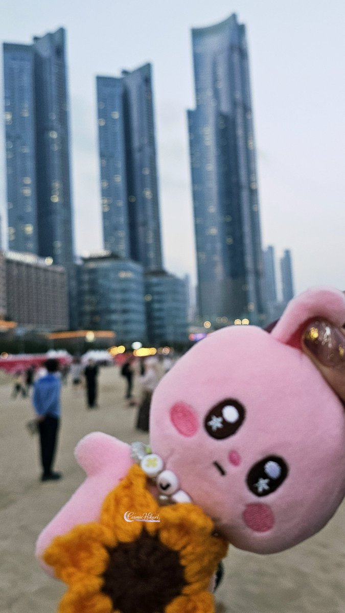 LailacKari's tweet photo. 3/28
#DailyChihChih Day 3
Chihchih watching sunset at  Haeundae Beach

#즈언 #CHIHEN 
#AHOF #아홉 #chihchih https://t.co/iQNhgufM4y