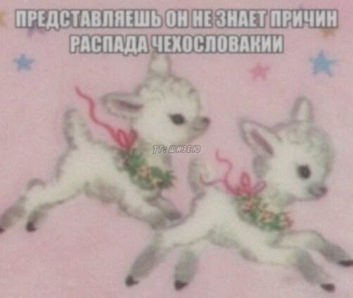 meliezi's tweet photo. @sezenkaA пж да умоляю https://t.co/HCe96j2ggy