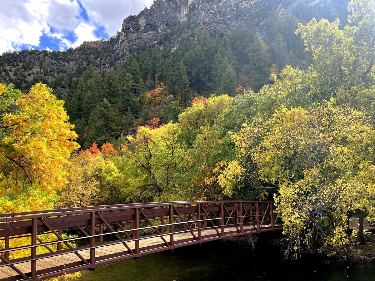 MsKimmyThompson's tweet photo. Summer doesn't collapse into fall. It's more of a colorful explosion.❤️

#autumnleaves #logancanyon #utahfall #beutahful #autumn https://t.co/uJ8kq9SISp