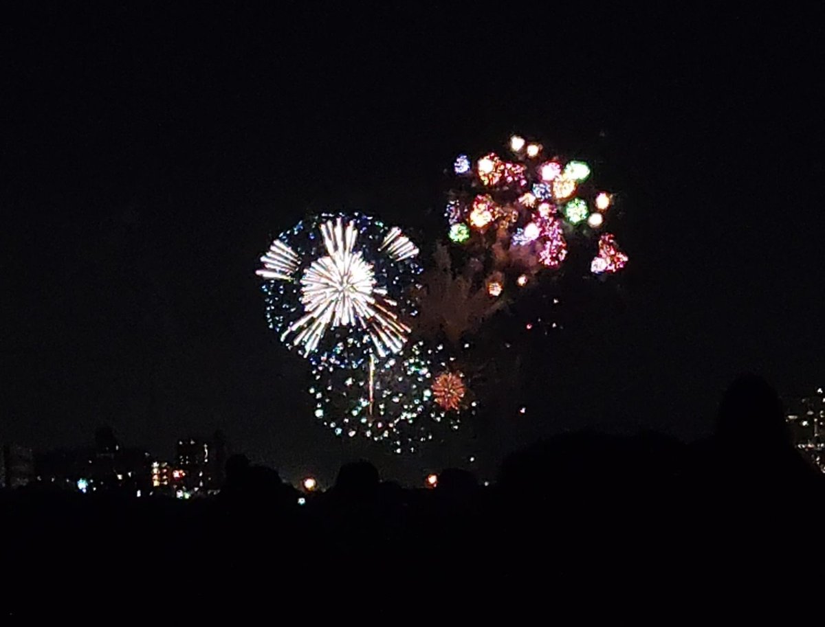 CHlove357M's tweet photo. 秋花火🎆 https://t.co/cIseT7EJDk