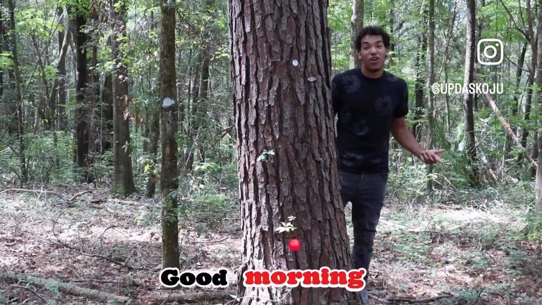 A man in a black t-shirt stands in a forest next to a large tree, smiling and pointing, with the text 'Good morning' overlaid at the bottom and the Instagram handle '@UPDASKOJU' in the corner.