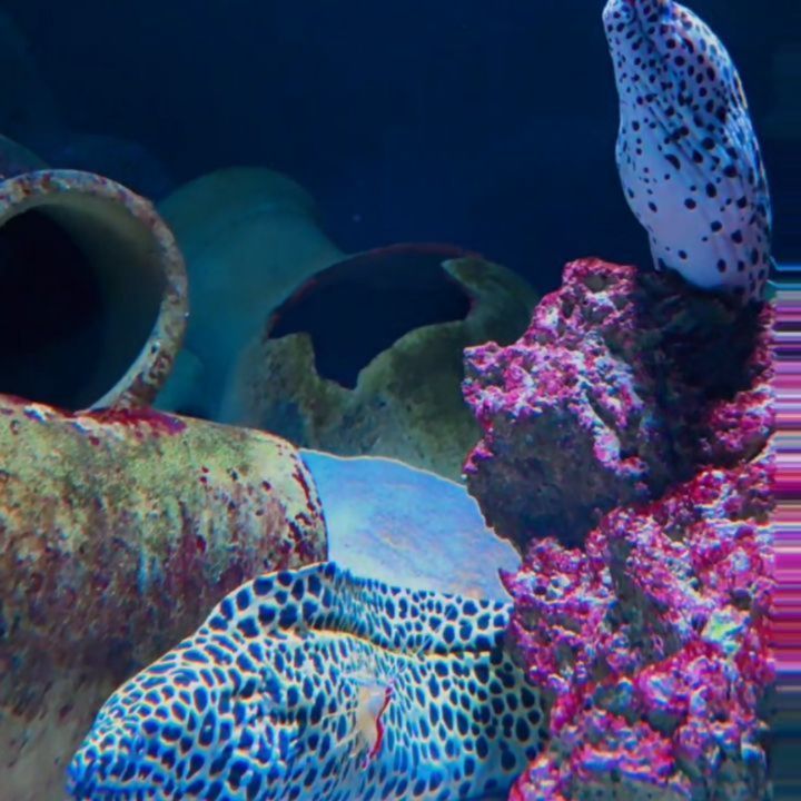 prii_screen's tweet photo. If there is magic on this planet, it is contained in water. https://t.co/jdT2OBsUZT