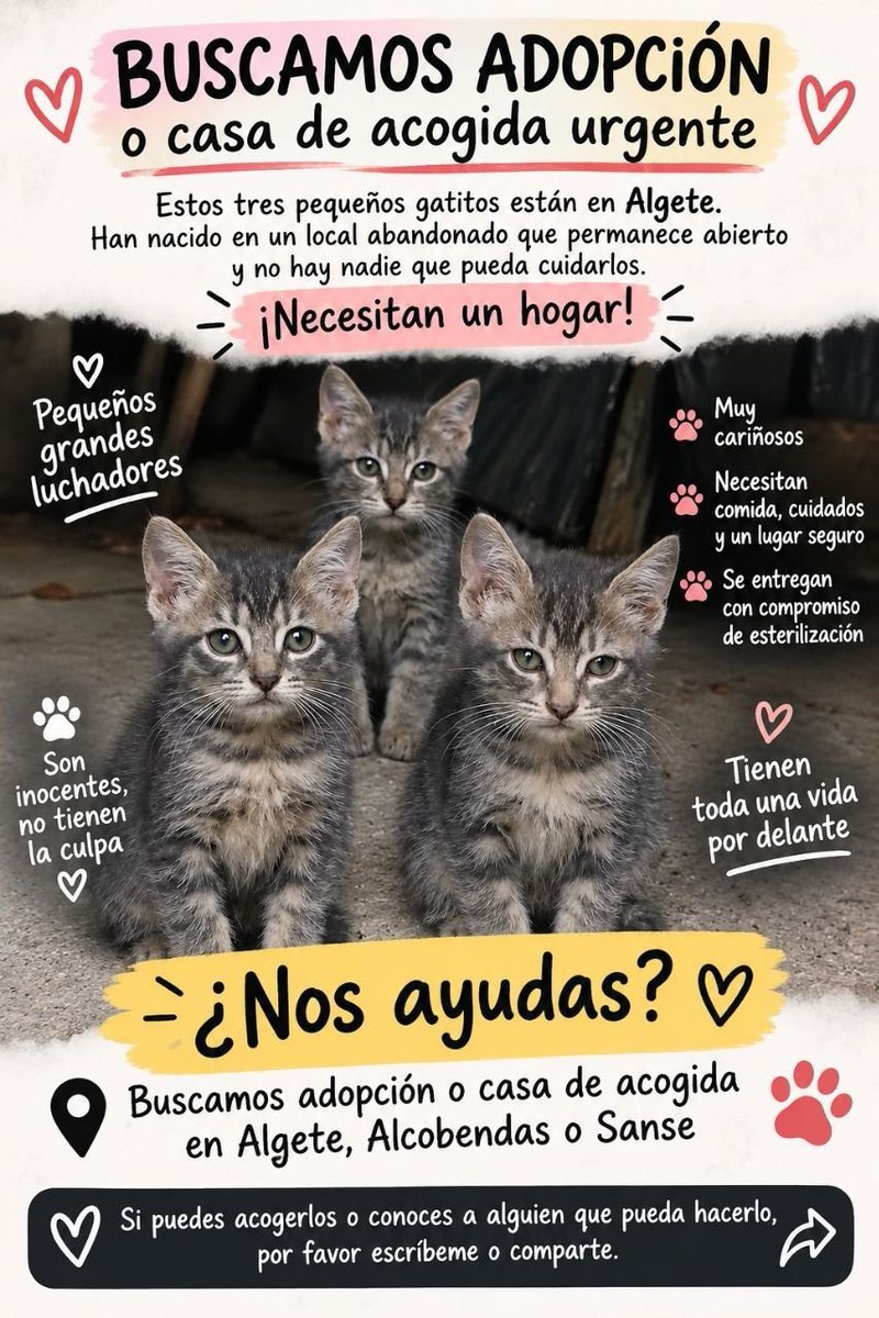 TierrayaguaVeng's tweet photo. #ACOGIDA #Algete #Alcobendas #Madrid
#adopcionresponsable #URGENTE_COMPARTAN
💗🙏🏽🙏🏽🙏🏽🙏🏽🙏🏽🙏🏽🙏🏽💗 https://t.co/d5uXvjt44v