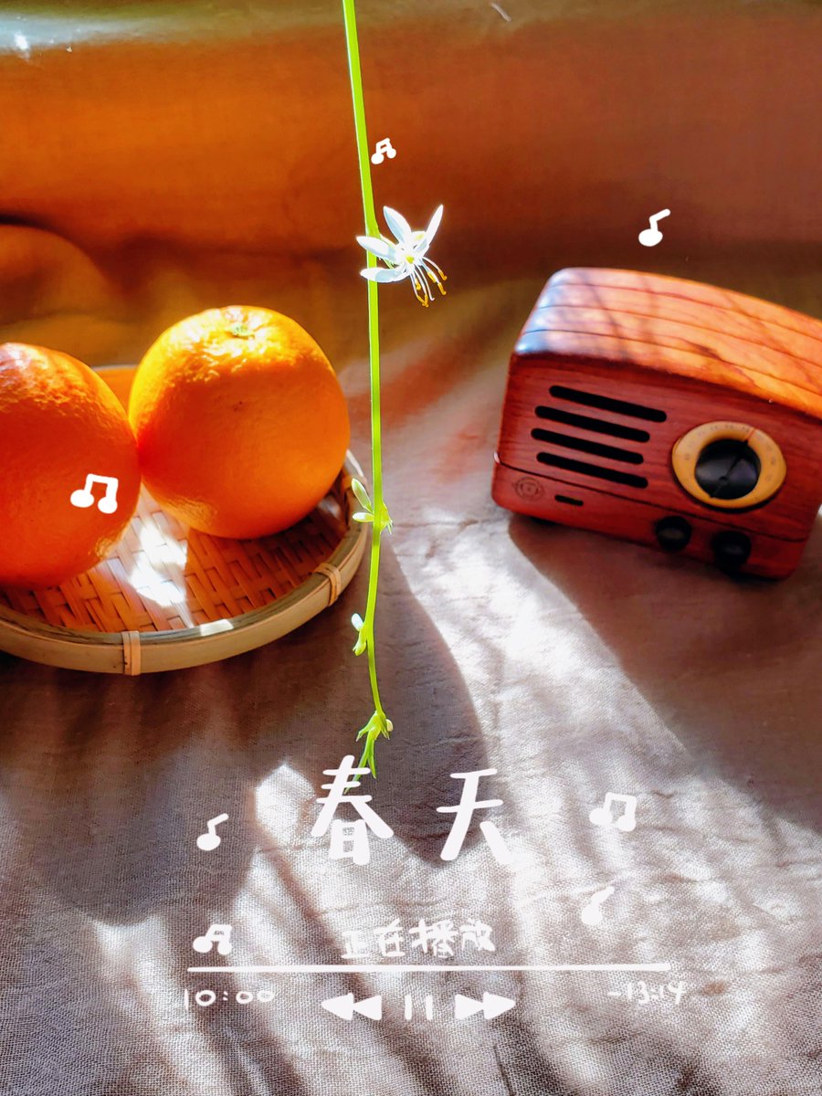 GraceCoreyfg's tweet photo. Una canción que te acompaa en cada paso, convierte momentos ordinarios en recuerdos mágicos. Sumérgete en la música que sientes hoy!， https://t.co/BWdkGobjcS