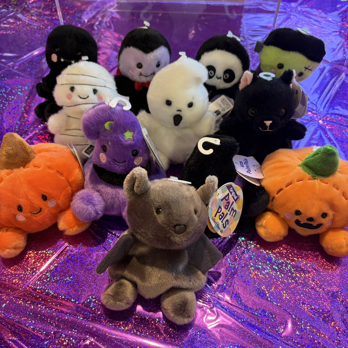 hmvSolihull's tweet photo. Spooky season is upon us and what better way to celebrate than with new Palm Pals! 🥳

A brand new range of Autumn and Halloween themed Palm PALs are in store now! 🎃👻

#halloween #spookyseason #palmpals https://t.co/a0Q7daacoo