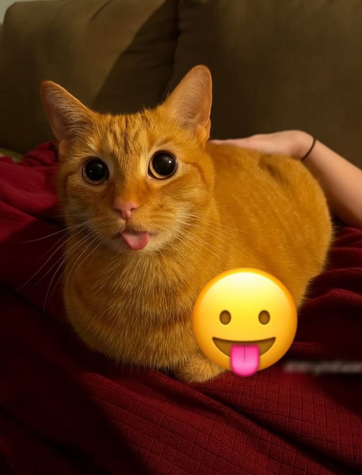 catblep tweet picture