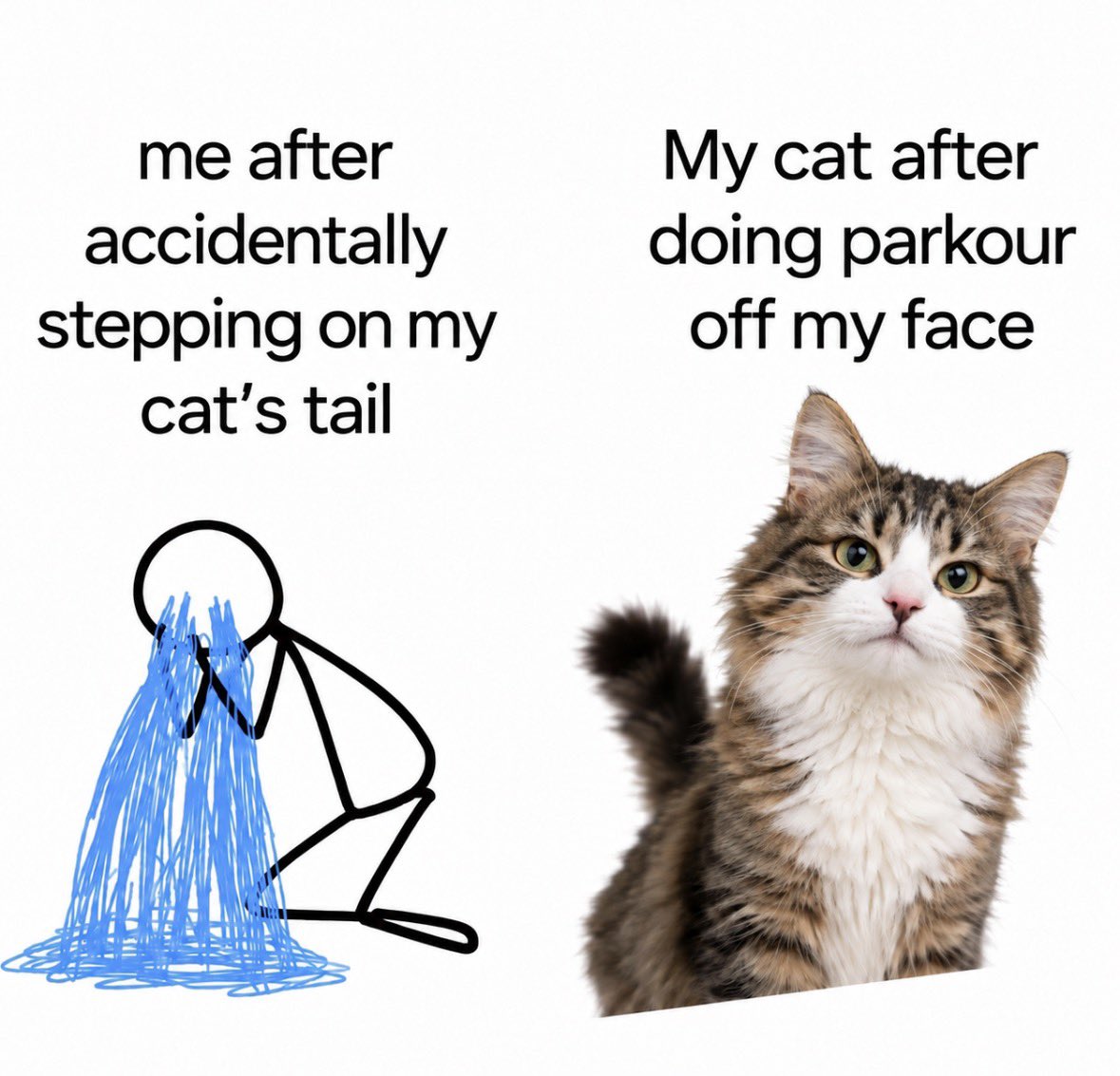RespectfulMemes's tweet photo. https://t.co/ZqJgxwAULE