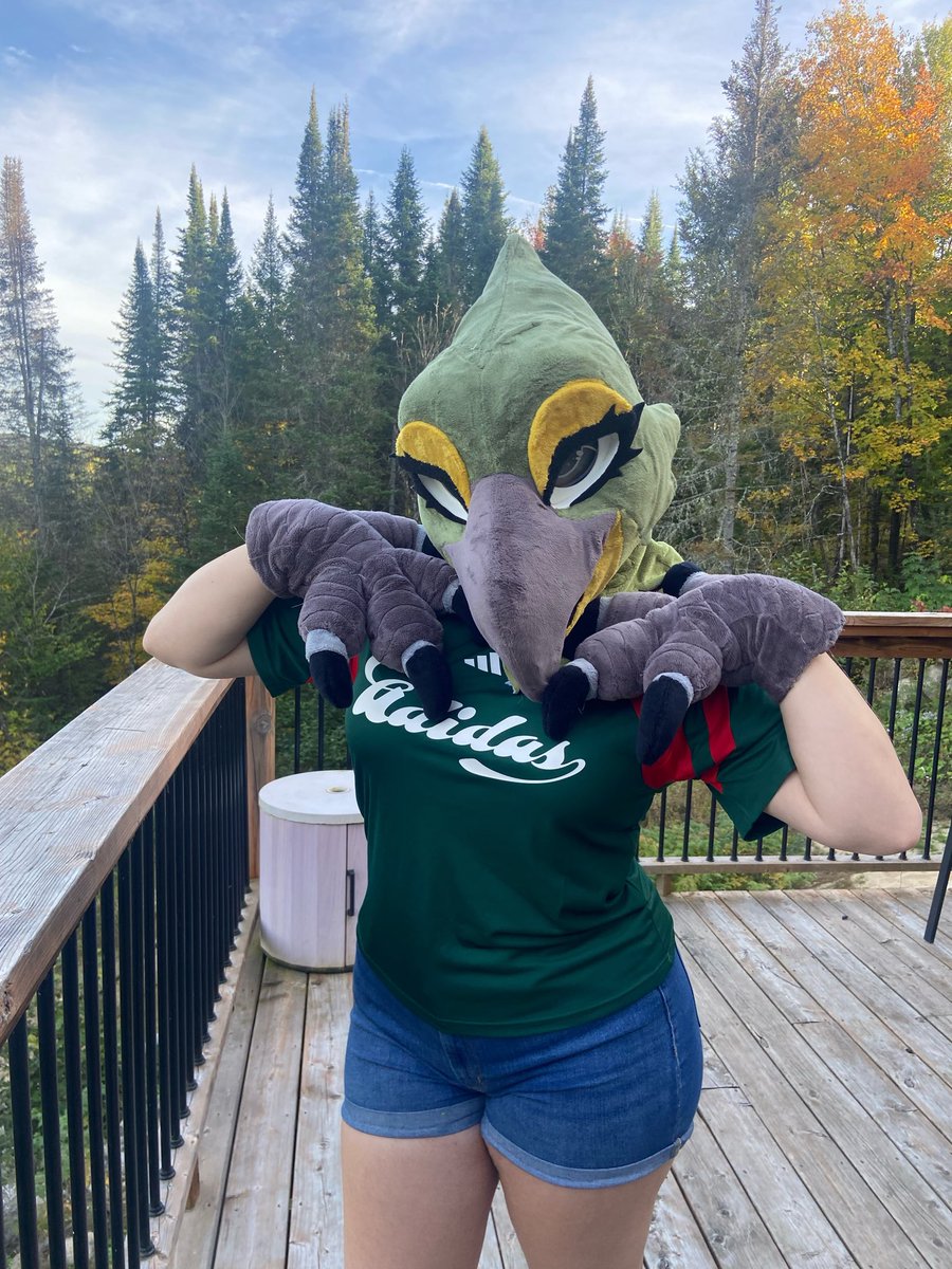 KookieeDerg's tweet photo. Stole @AvaTheKea head. Never thought I’d enjoy being a birbb💚 https://t.co/EK7AMaMfsR