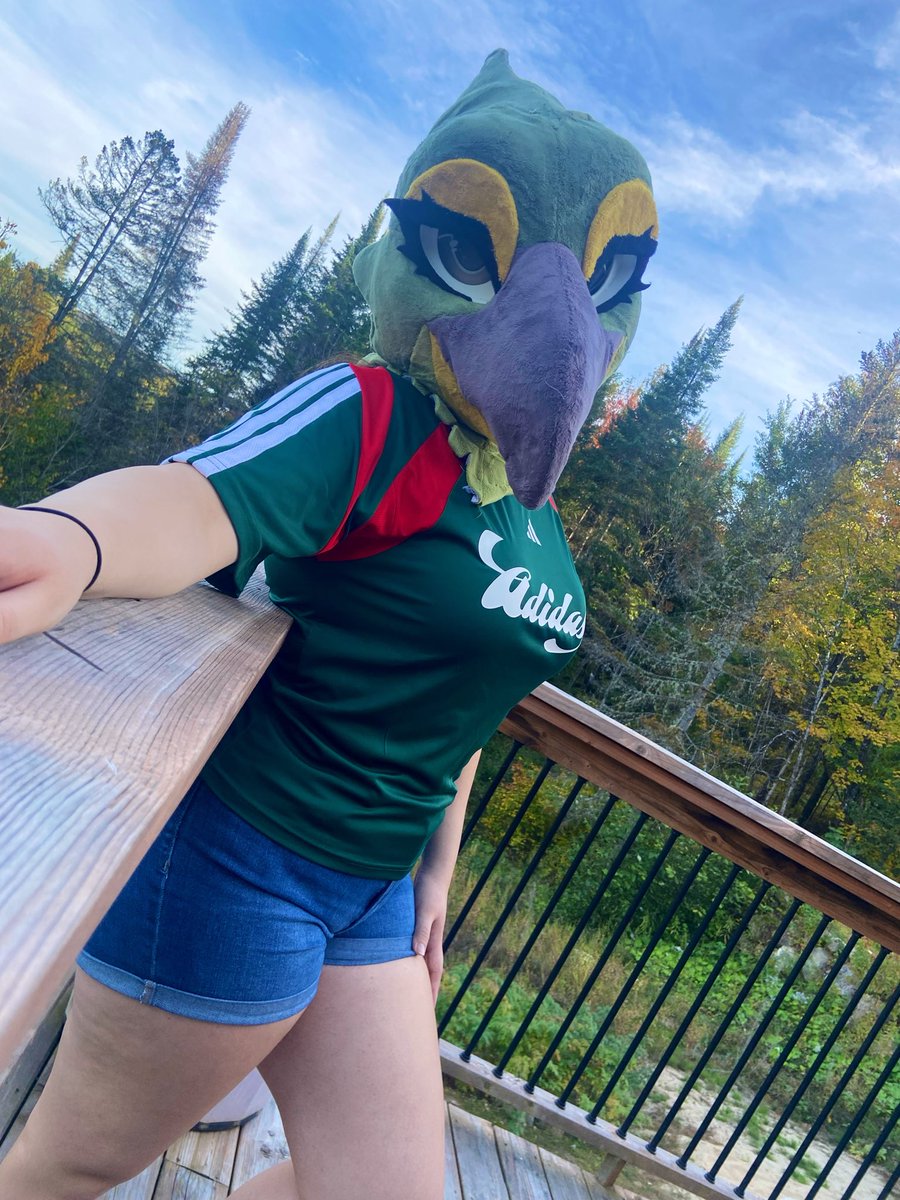 KookieeDerg's tweet photo. Stole @AvaTheKea head. Never thought I’d enjoy being a birbb💚 https://t.co/EK7AMaMfsR