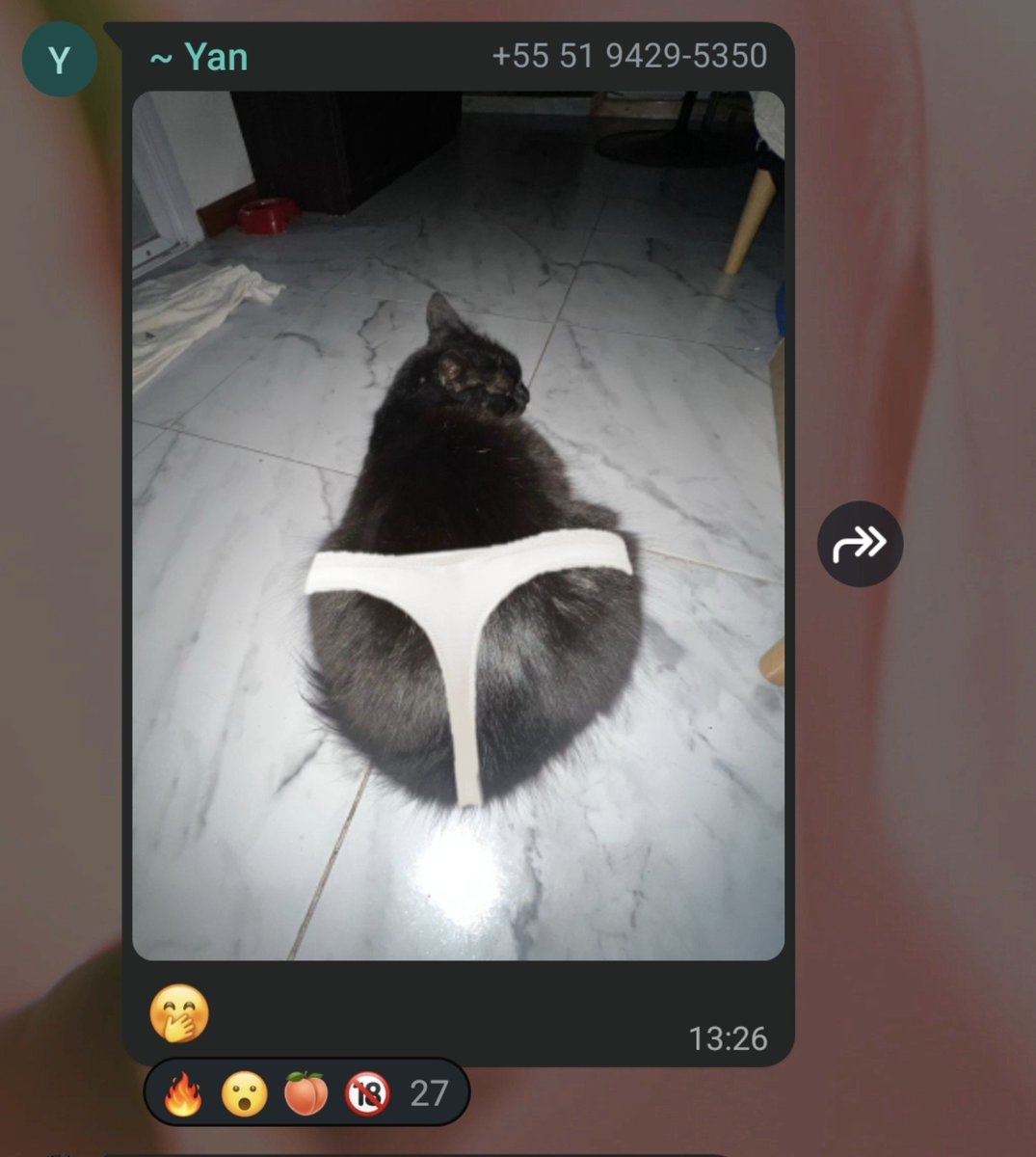 fearletlove's tweet photo. ai gente kkkkkkkkkkkkkkk https://t.co/tn9QcCMLx4