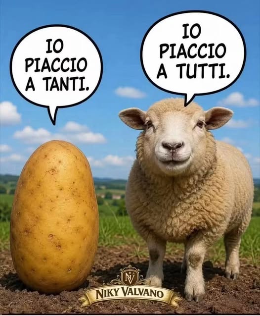 RunAtOnce's tweet photo. questa è difficile🤣🤣🤣 https://t.co/bBnAN73vrt