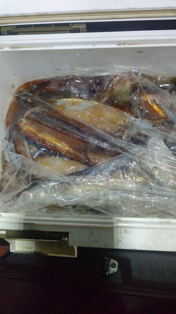 geek12301's tweet photo. イカ🦑釣り

151匹～

寒かったぁ😱 https://t.co/4ITY4irjIj