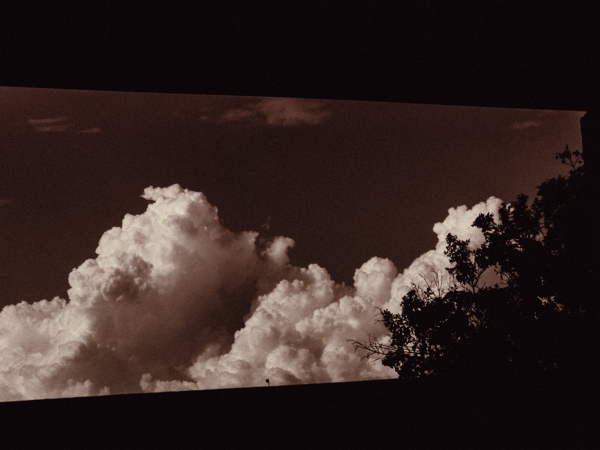 arthextic's tweet photo. remnants of light https://t.co/yzHHoDN62d