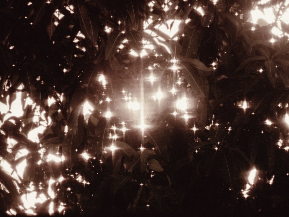 arthextic's tweet photo. remnants of light https://t.co/yzHHoDN62d