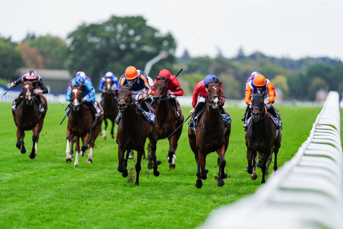 loughnane_billy's tweet photo. A treble this afternoon at Ascot:

🏆 So Regal - Listed October Stakes
🏆 Hidden Force - Group 3 Bengough Stakes
🏆 Gold Star Hero

Congratulations to all connections! 

#BL https://t.co/fBYHEAY6Iy