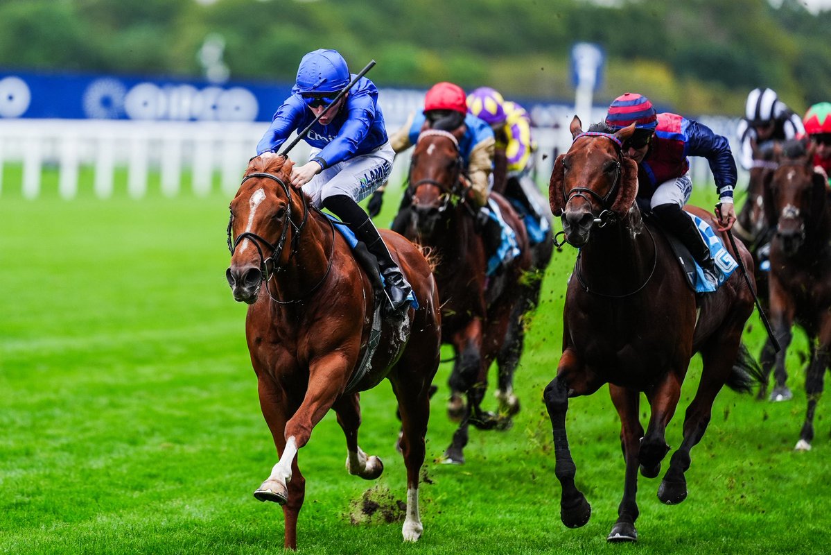 loughnane_billy's tweet photo. A treble this afternoon at Ascot:

🏆 So Regal - Listed October Stakes
🏆 Hidden Force - Group 3 Bengough Stakes
🏆 Gold Star Hero

Congratulations to all connections! 

#BL https://t.co/fBYHEAY6Iy
