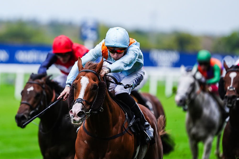 loughnane_billy's tweet photo. A treble this afternoon at Ascot:

🏆 So Regal - Listed October Stakes
🏆 Hidden Force - Group 3 Bengough Stakes
🏆 Gold Star Hero

Congratulations to all connections! 

#BL https://t.co/fBYHEAY6Iy