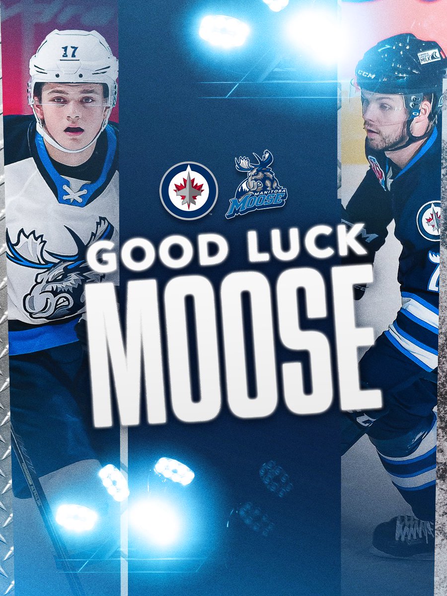 NHLJets's tweet photo. GO MOOSE GO 🫎🫎🫎 https://t.co/Rcb2PYNwir