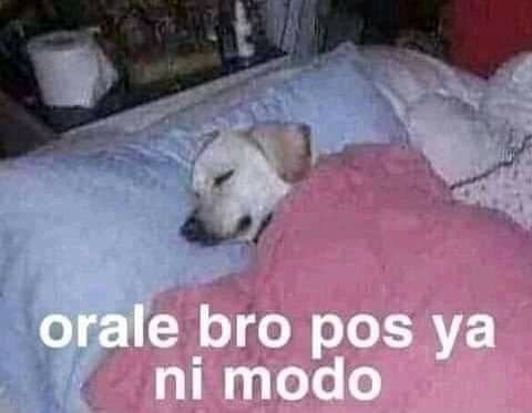 kthwru's tweet photo. Oigan pero hablenme o algo, hay q ingeractuar chido https://t.co/Elqy6BAeSq