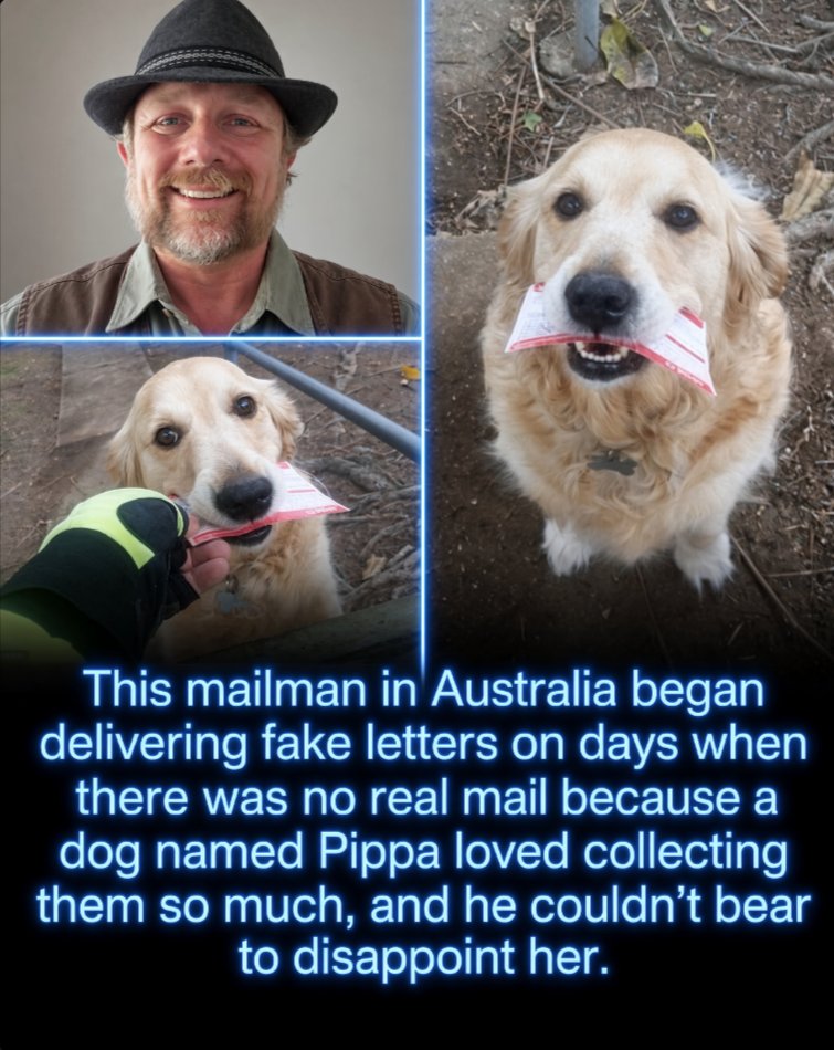 Rainmaker1973's tweet photo. This mailman started writing fake letters for a dog because he could not stand seeing her disappointed. Back in 2016, Australian mail carrier Martin Studer had one very enthusiastic customer, a golden retriever named Pippa, who every morning would wait by the gate for Martin, gently take the family’s mail from his hand, and proudly carry it back inside as if collecting the post were her official job.

On days when there was no mail, Pippa would be left waiting with nothing to collect, and Martin could not bear to disappoint her, so he started carrying blank postal cards in his bag and writing “Mail for Pippa” on them [1]. Whenever there was no real post, he would hand Pippa one of the fake letters so she could still complete her daily mission.

One mailman, one golden retriever, and zero real letters were needed to make her day. Sometimes the smallest act of kindness can mean everything to a dog