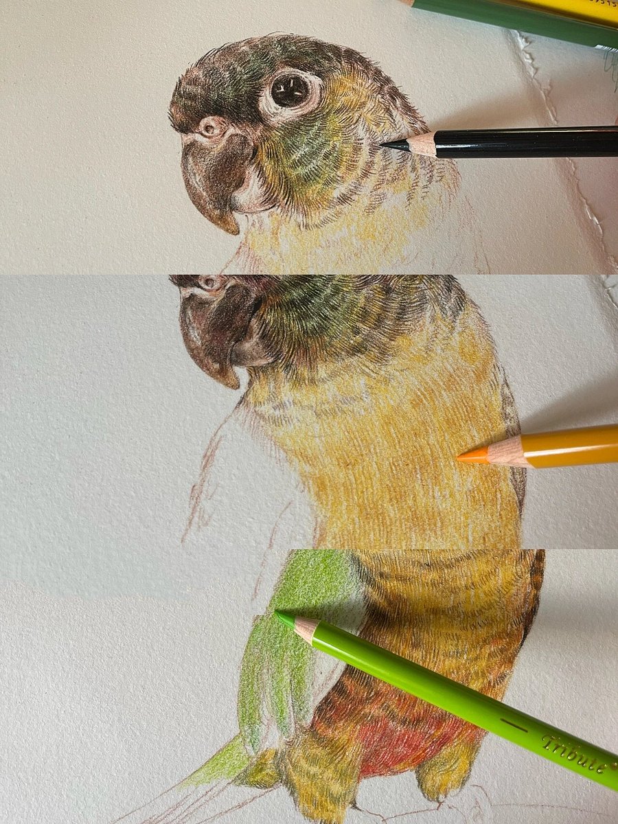 RicoAttia's tweet photo. Descubrir un nuevo hobby no solo entretiene, sino que también mejora tu creatividad. Empieza hoy mismo! https://t.co/PPItMO0j1M