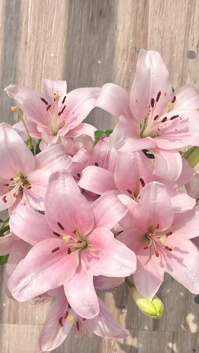 Flowersidmb's tweet photo. https://t.co/bL4m0k3EW5