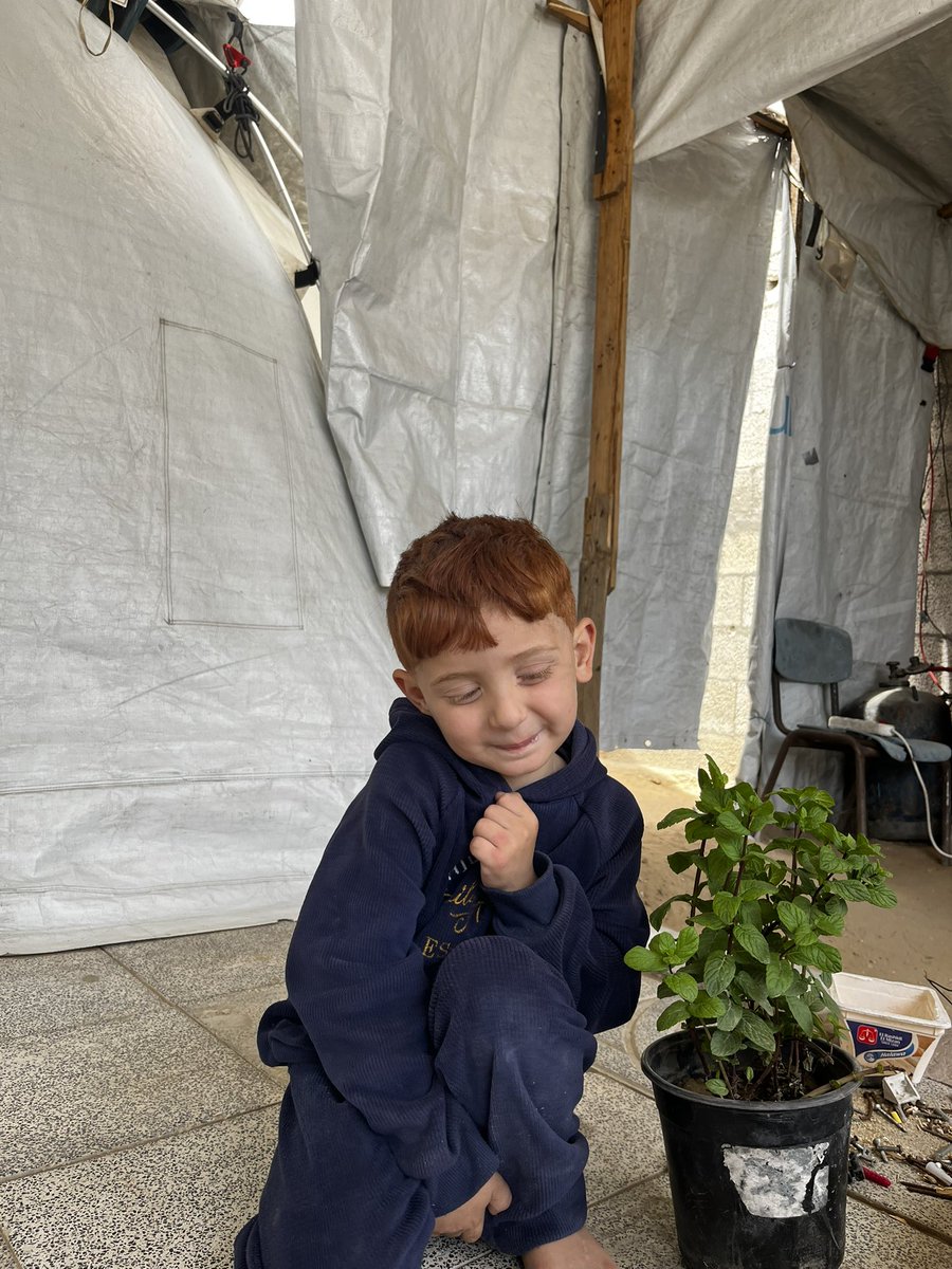 Amrogaza1's tweet photo. Amro and the mint he grew himself.🥹🌿 https://t.co/Dk6HI4zJkZ