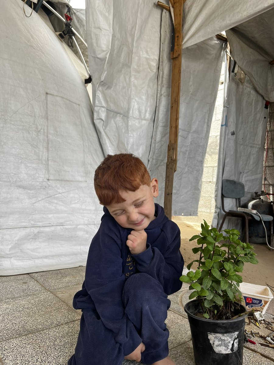 Amrogaza1's tweet photo. Amro and the mint he grew himself.🥹🌿 https://t.co/Dk6HI4zJkZ