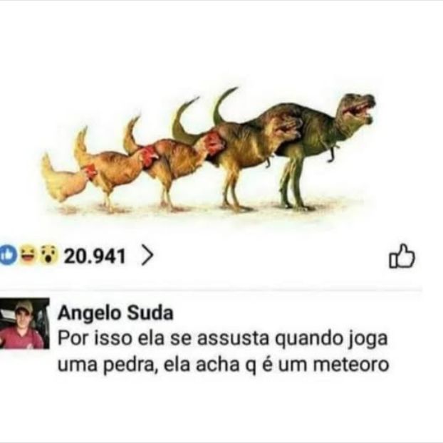 jpeg_memez's tweet photo. https://t.co/tEBpDwBsEM