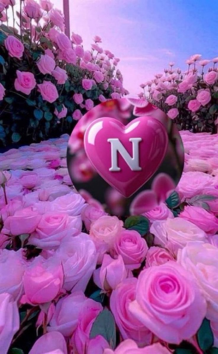 noura0126's tweet photo. اذا الشخص ماكان يحب نفسه مستحيل يحب غيره ممكن يحب لكن حب مسموم وغير لائق
لذالك حبو انفسكم واهتمو لانفسكم بالاول☺️❤️ https://t.co/kbHHYrdWya