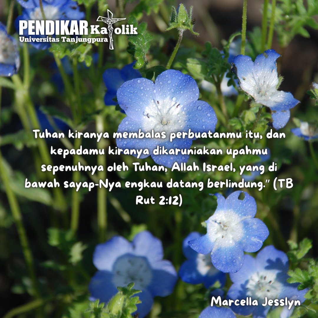 JesslynMarcell6's tweet photo. Shalom✨
Tuhan Yesus memberkati kita semua❤️✝️
#Pendikar
#Pancasila
#UNTAN
#PendikarPancasilaUNTAN https://t.co/iQ7h8jw8Bs