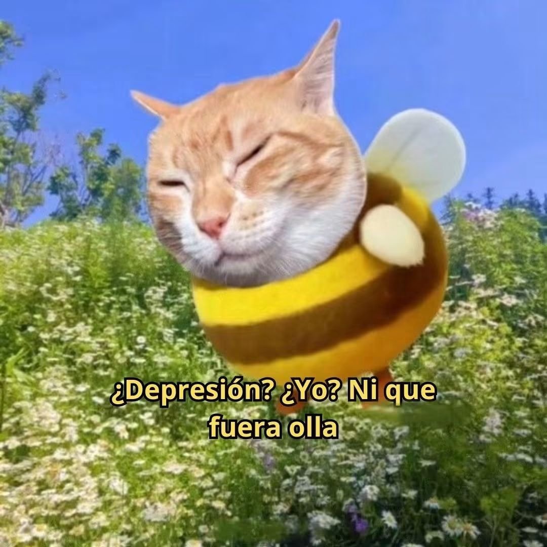 Mantequilla90's tweet photo. https://t.co/iMCoPqa4TS