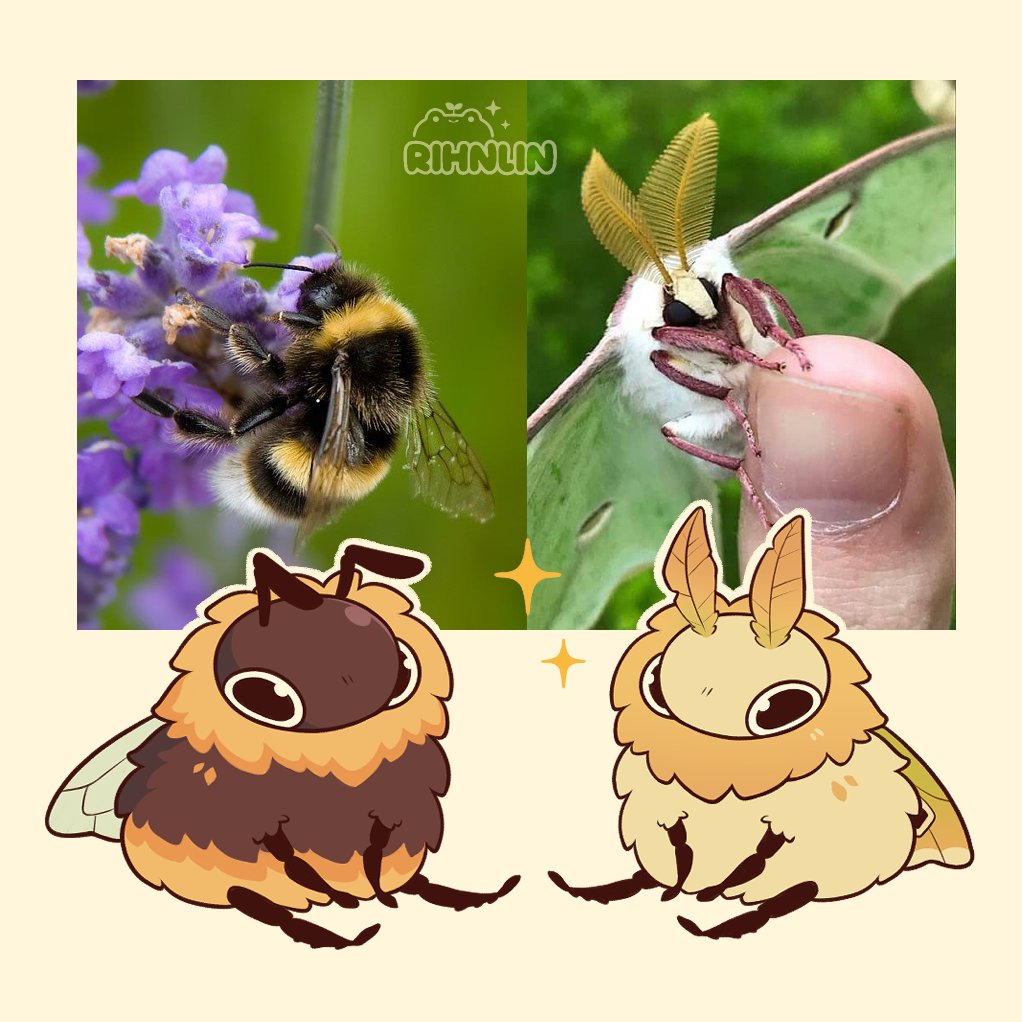 rihnlin's tweet photo. small and fluffy https://t.co/iOK4KJ7xKD