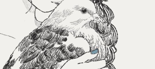 chill_shima's tweet photo. 【今日】鳩描いたりとか https://t.co/nFZ8fH5kep