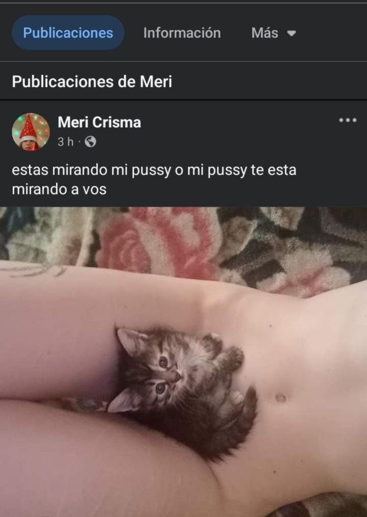 delipticus's tweet photo. @bebotapilled Lo unico que sabes decir es q es menor cuando no lo es pke ni sabes del tema, hasta los amigos de Meri decian k era una enfermita y k le copiaba a una nenita de 14 
ahi fijate k me contestas de la pdf y zoofilica 👍🏼 https://t.co/Tl4j3vpeEm