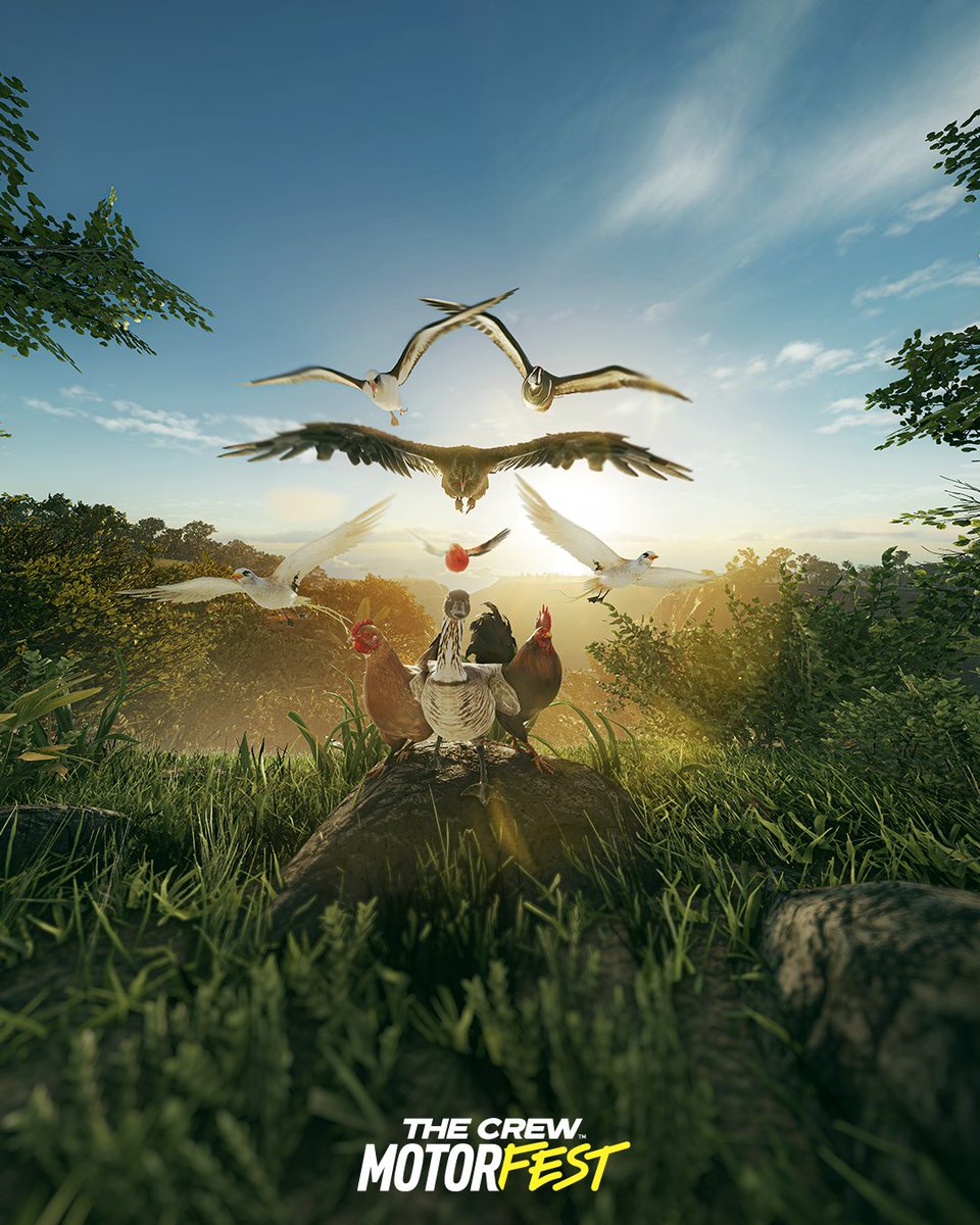 TheCrewFR's tweet photo. C'est la Journée mondiale des animaux ! Pour l'occasion, on vous présente la faune de The Crew Motorfest  🐾

C'est + de 40 espèces qui arrivent sur les îles en Saison 11, RDV le 07 octobre pour les rencontrer 🌺 https://t.co/I2wUlHYGBn