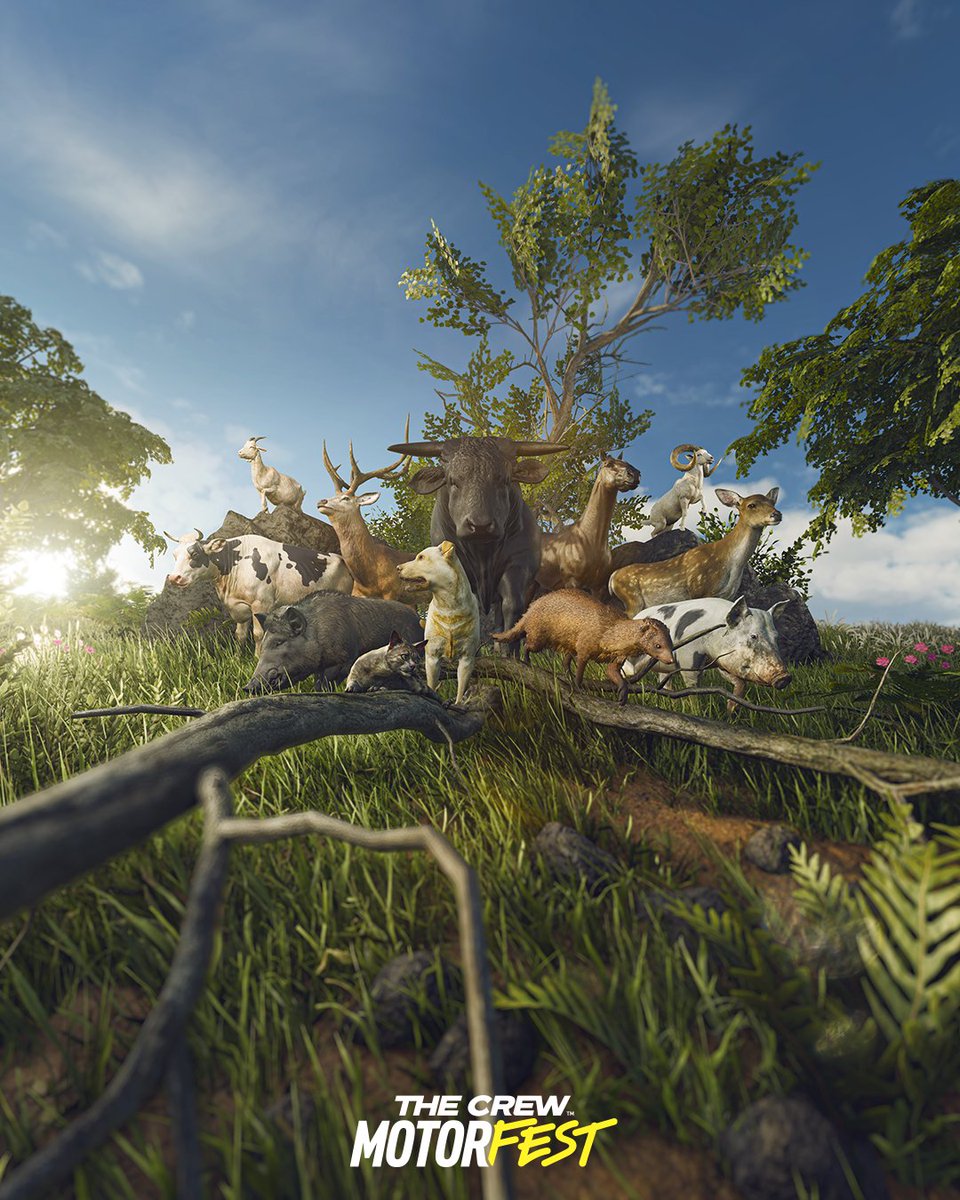 TheCrewFR's tweet photo. C'est la Journée mondiale des animaux ! Pour l'occasion, on vous présente la faune de The Crew Motorfest  🐾

C'est + de 40 espèces qui arrivent sur les îles en Saison 11, RDV le 07 octobre pour les rencontrer 🌺 https://t.co/I2wUlHYGBn