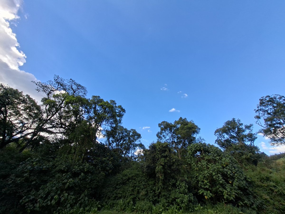 kgbxke's tweet photo. https://t.co/i3VjvcUxEa