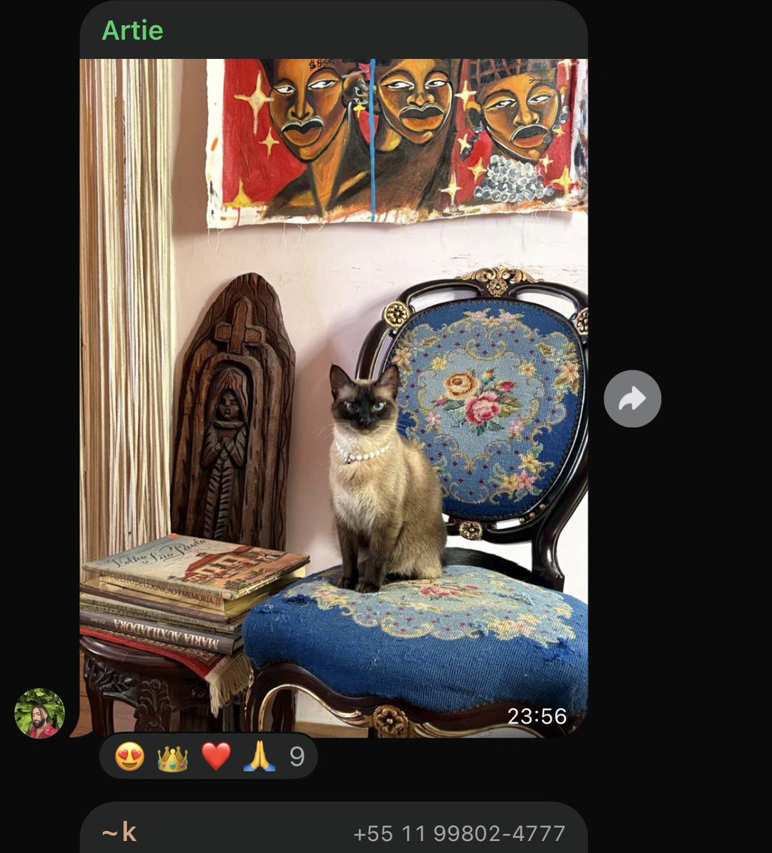 falameuanjo's tweet photo. a zolpidengo é tão CHIC que ela só recebeu emojis de congratulação no grupo de gatos em silêncio!! https://t.co/YptoOeCHBF