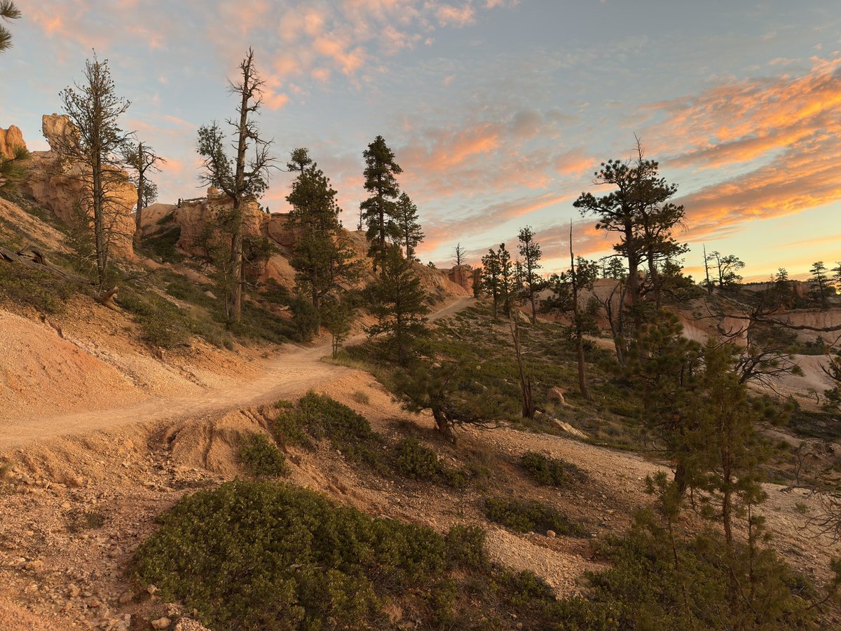 B4rtvdH's tweet photo. Lekker Vites! Eén punt is helemaal zo slecht nog niet, toch? Ik heb het proberen te volgen vanuit Bryce Canyon, zover dat ging. https://t.co/x21xctlZrz