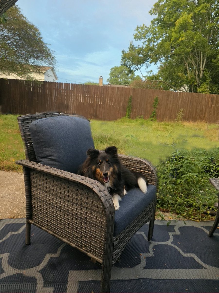 AuthorCharlayne's tweet photo. @DonutOperator Happy 2nd birthday from me and my Nalla-Rhi, who is going to be 9 months old on the 14th. https://t.co/6rGSmcPJ3S