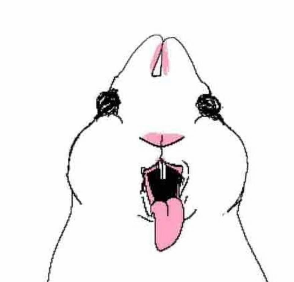 bratbunnyg1rl