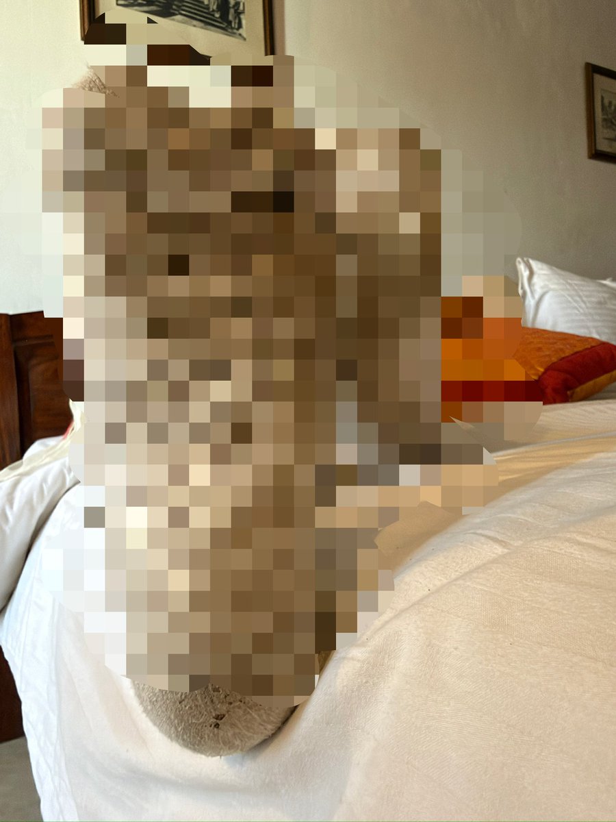 WorshipAnanya's tweet photo. Here you go😈🤭 https://t.co/2b5cdVXiVa
