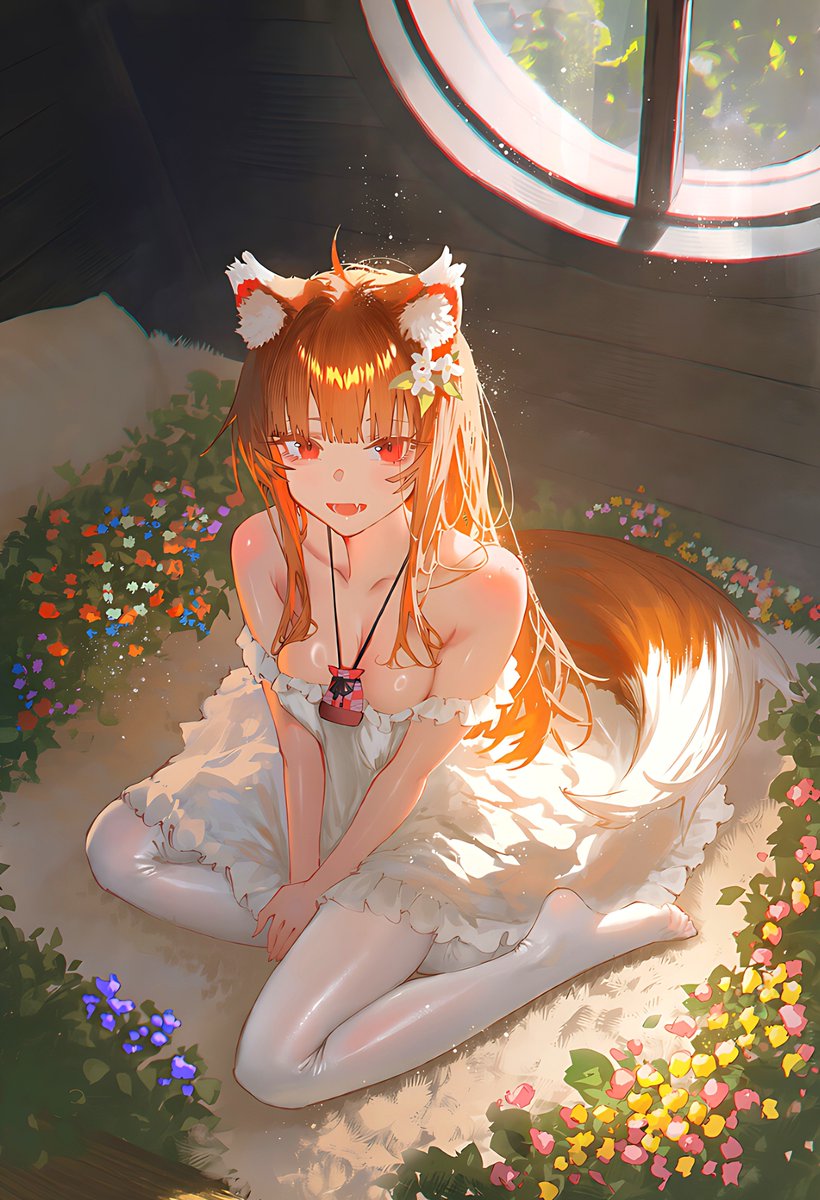 LoveforHolo's tweet photo. https://t.co/azMyqifjhV