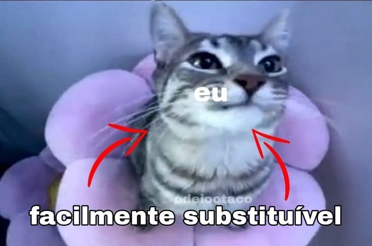 shitpostverdade's tweet photo. https://t.co/qMwrdVrCDw