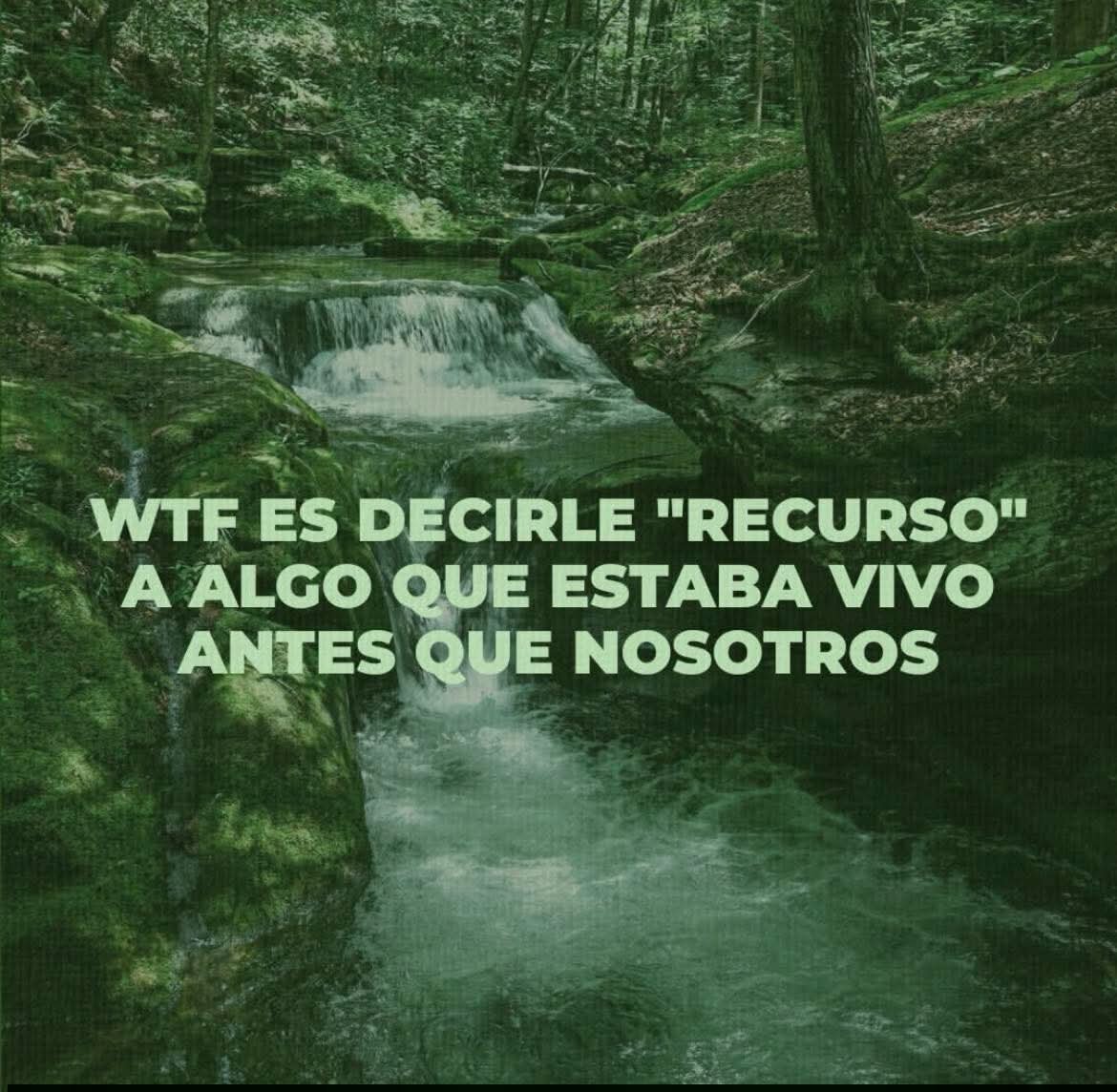 nxstypxet's tweet photo. https://t.co/i7vOgxJtUr